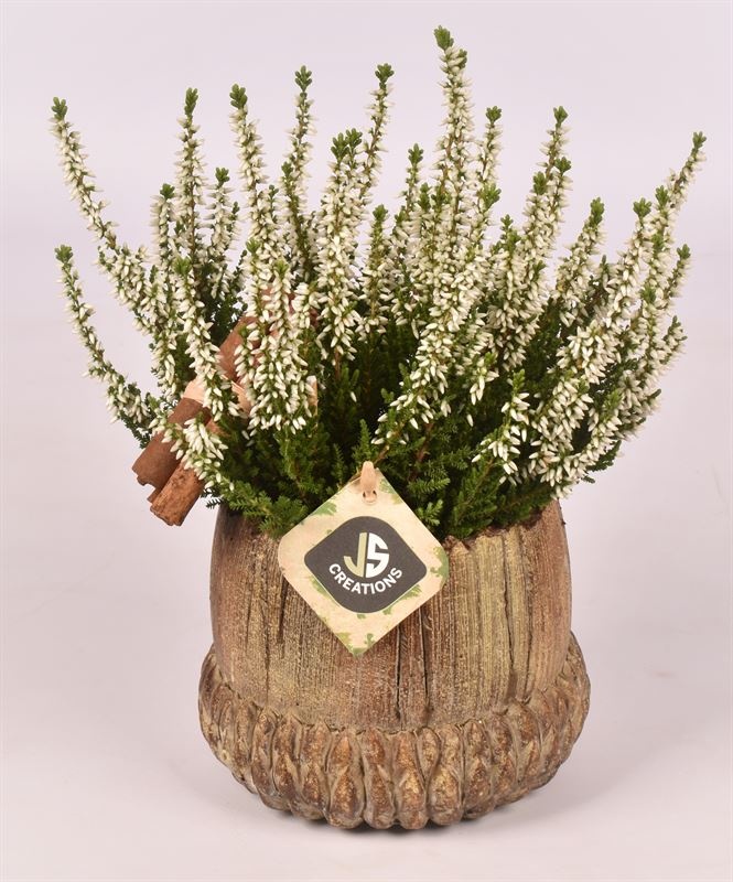 Cement eikel 14 cm bruin, D 14 cm Cement eikel 14 cm bruin, D 14 cm
