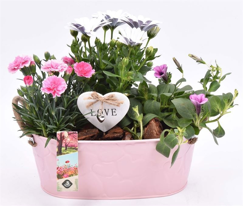 Zink ovaal roze hart decor 25x15cm, D 28