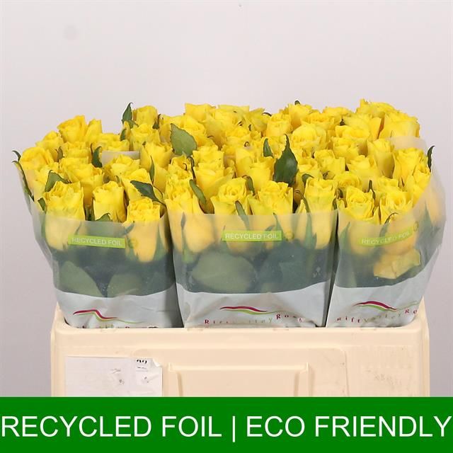 Роза од. Голдфинч 50, шт.