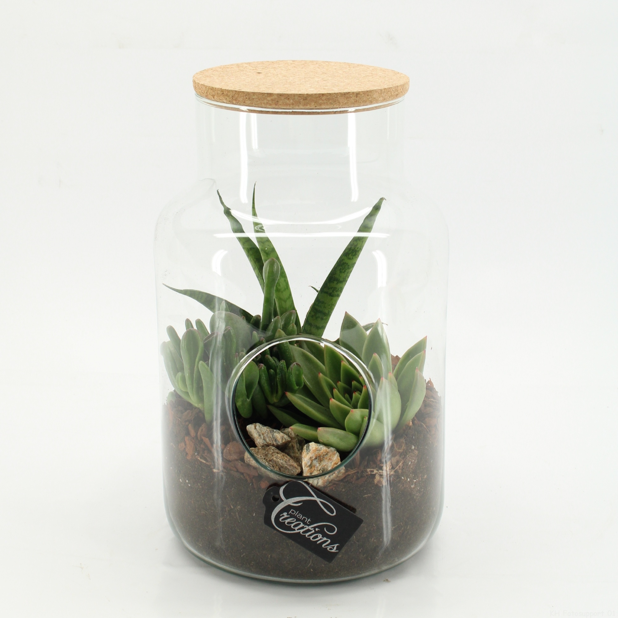 SUCR-2607 Succulent Essentials terrarium, D 19