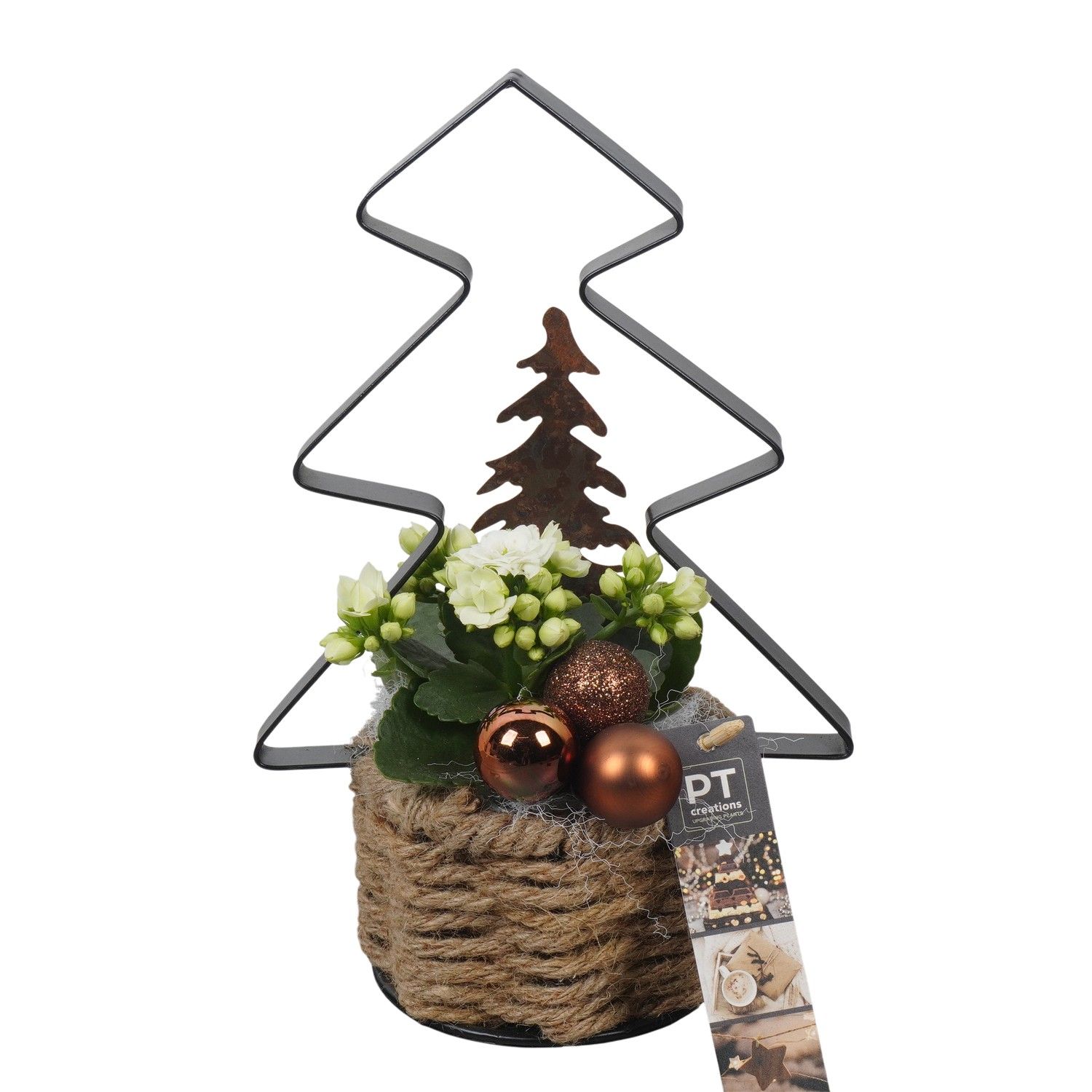 PTCHB9794 Arrangement Christmas Bronze in touwmand met metaal, D 11 cm