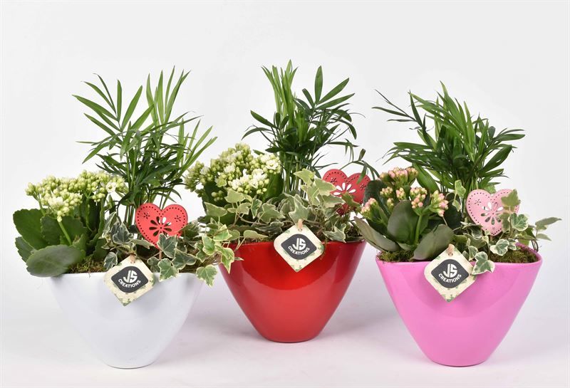 Keramiek ovaal mix, D 18