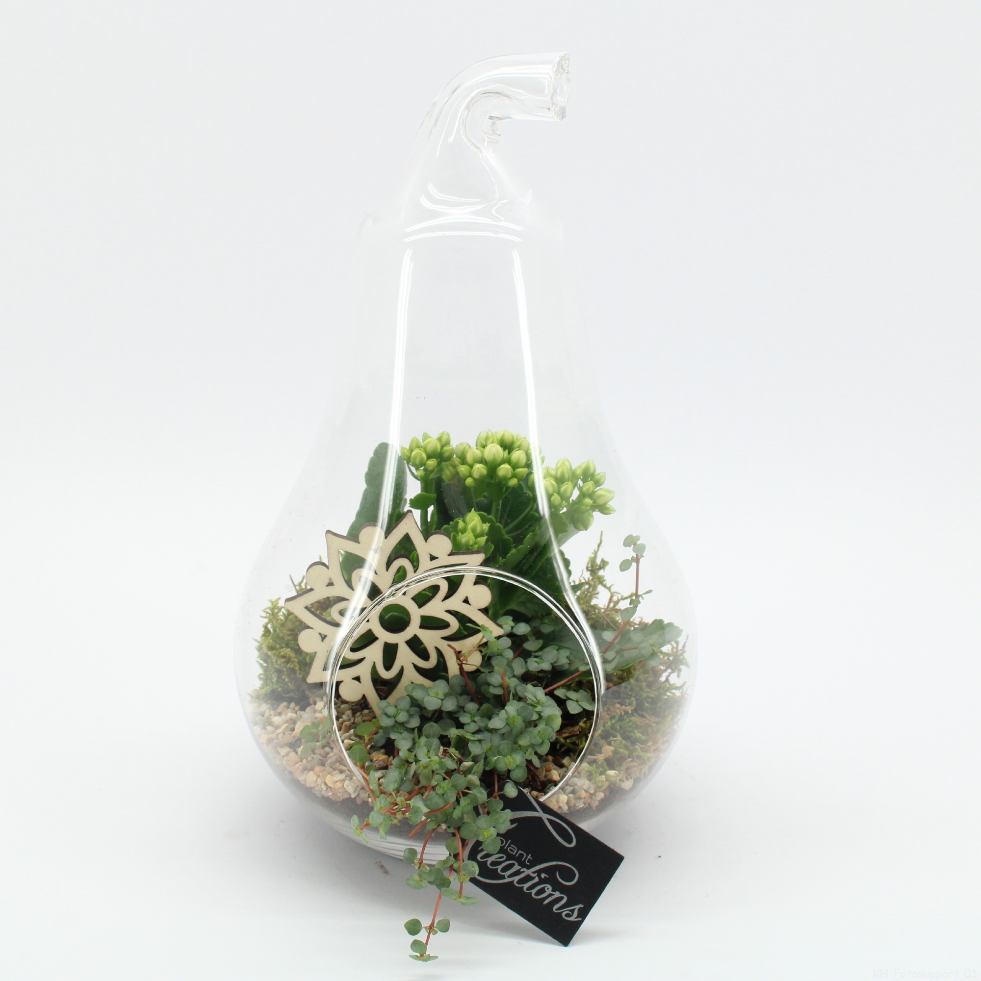 ESCR-2632W Essentials terrarium, D 18