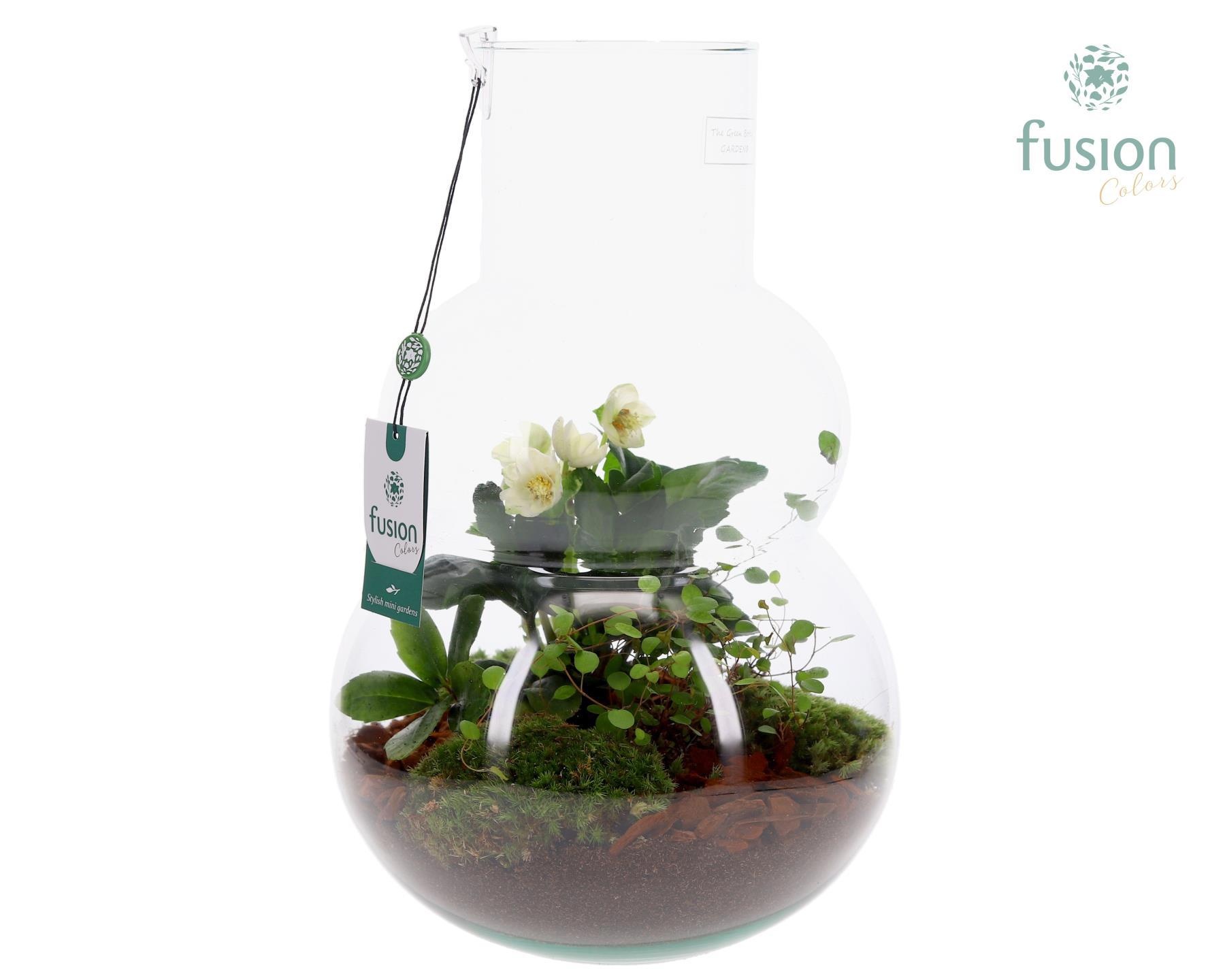 Green Bottle Olaf Large met arrangement, D 26 cm Green Bottle Olaf Large met arrangement, D 26 cm