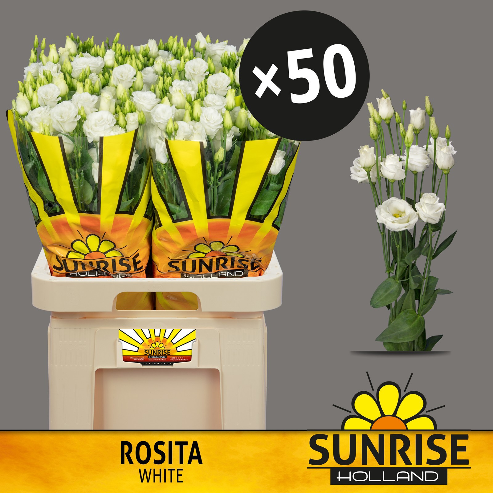 Эустома Розита Вайт 70 (бел.), шт.