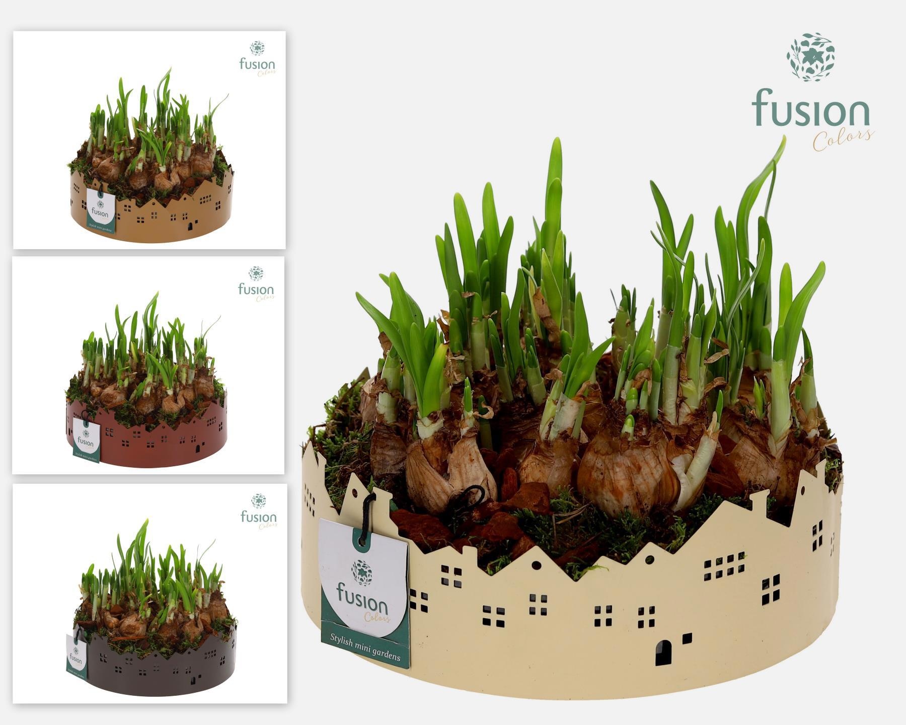 Zinken schaal Huisjes Large met Narcis, D 22 cm