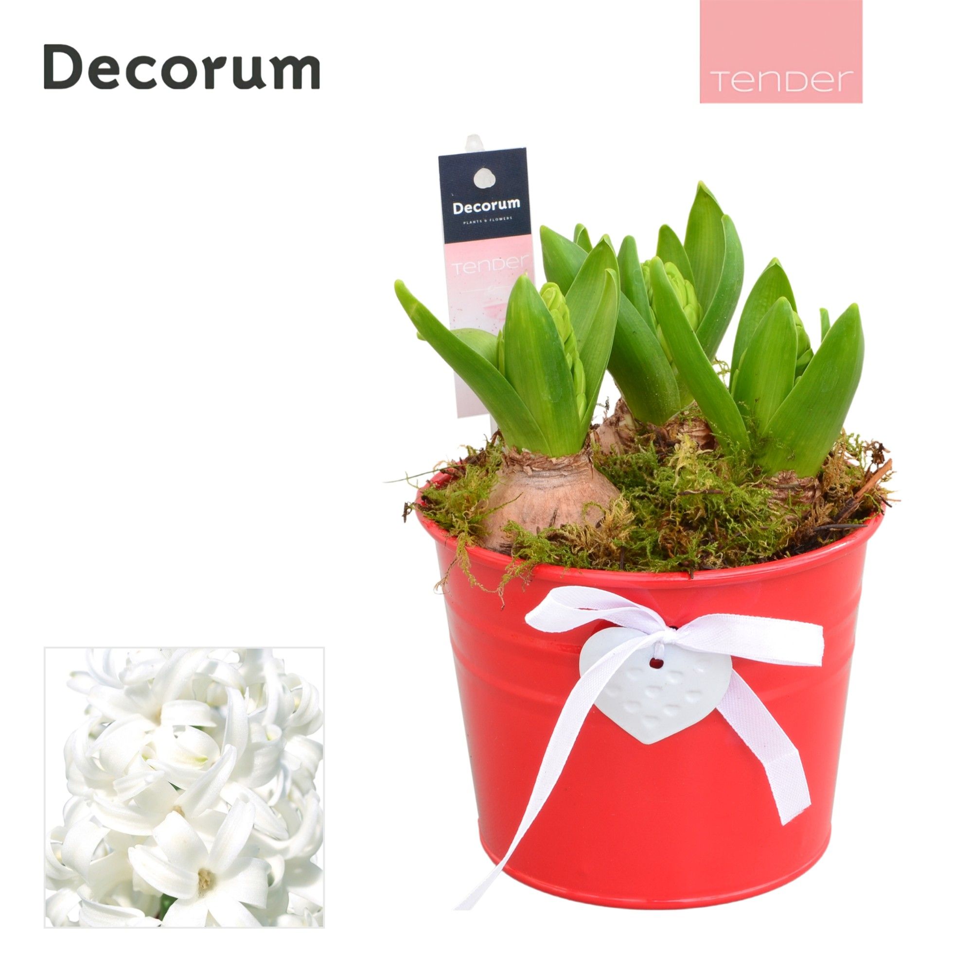 Hyacint Heart Bucket HL12674WP [TENDER], D 13