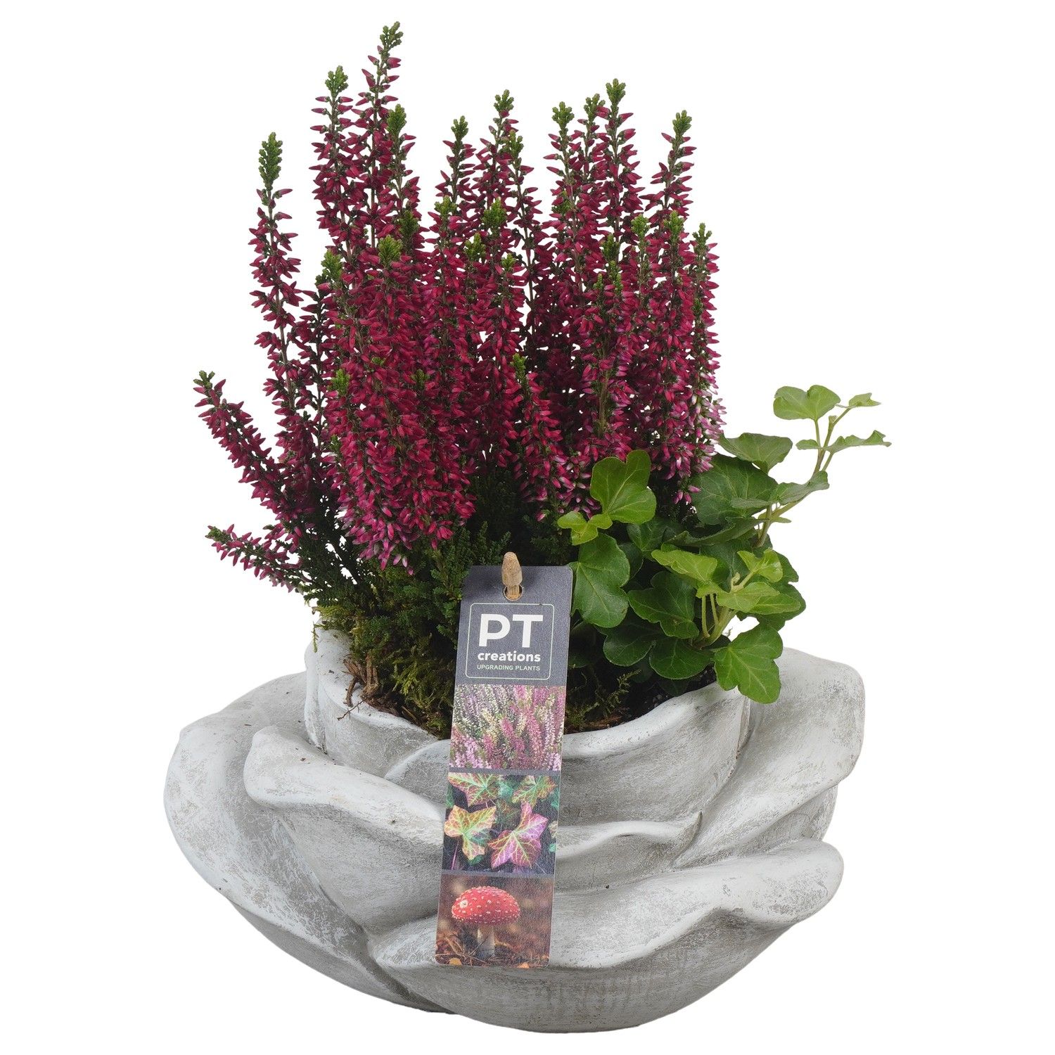 PTAH8624 Arrangement Allerheiligen in beton roos, D 20 cm PTAH8624 Arrangement Allerheiligen in beton roos, D 20 cm