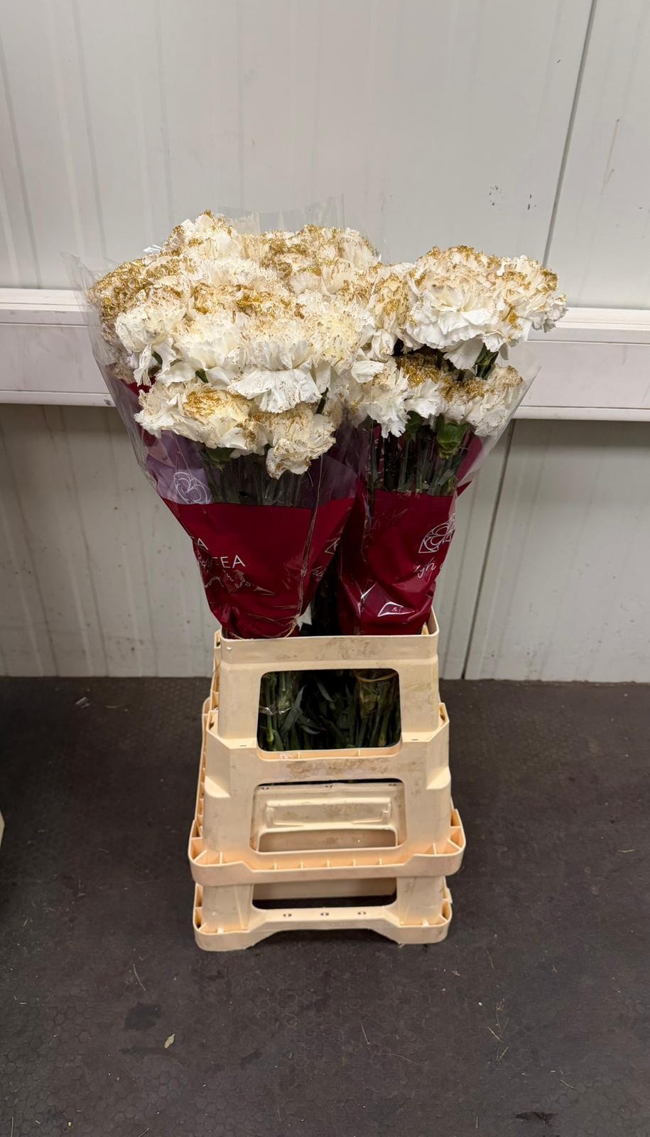 Диантус од. Овериг Крашеный (краш. ), шт.