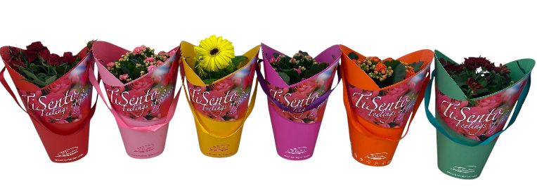 Bloeimix 12 cm | Mix | Stacy tasje, D 12