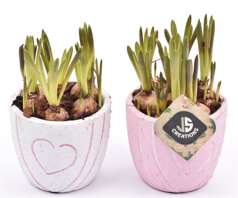 Cement pot met hart decor mix 10cm, D 10