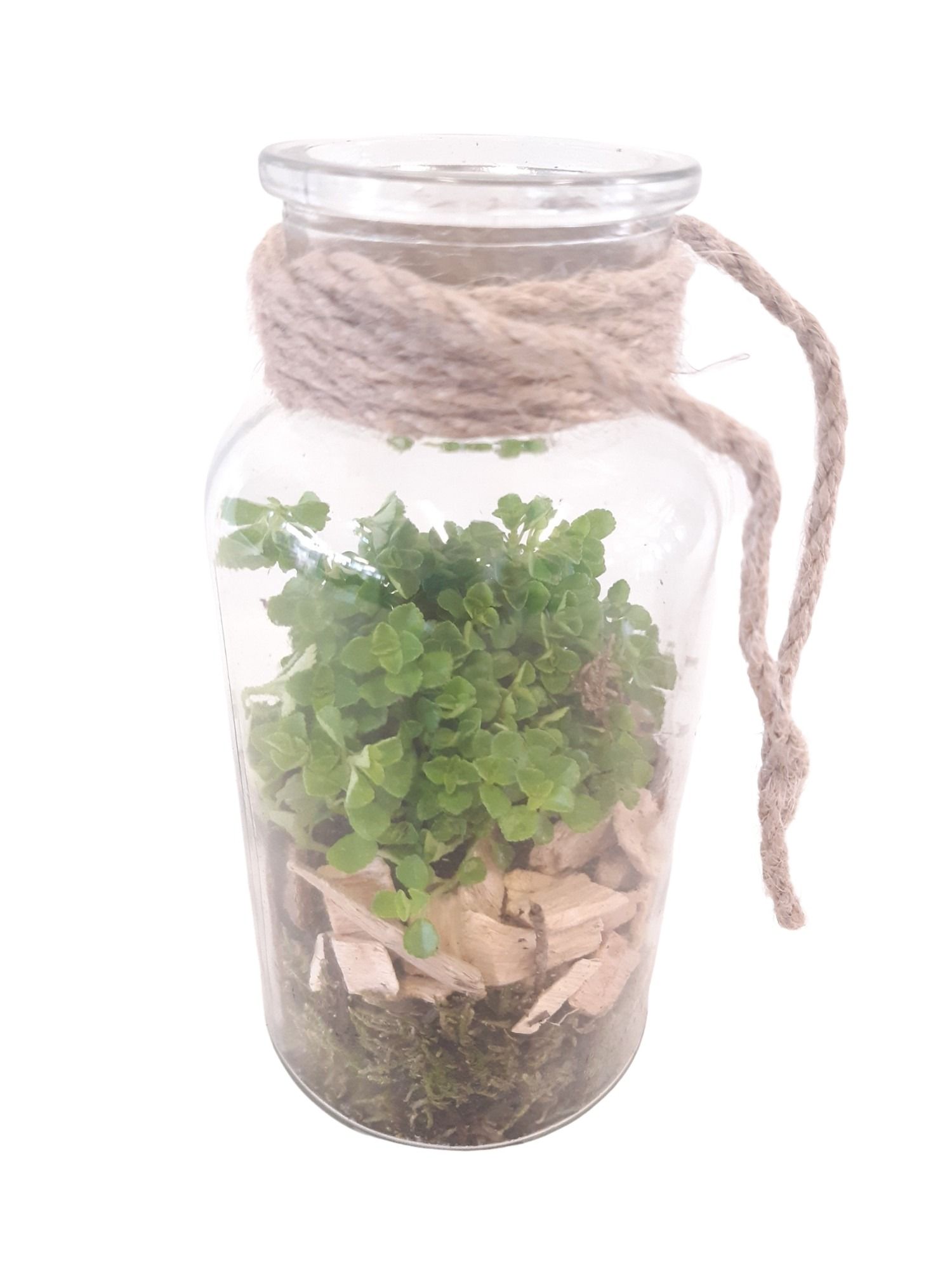 705 RP flesje 8/16cm, D 8