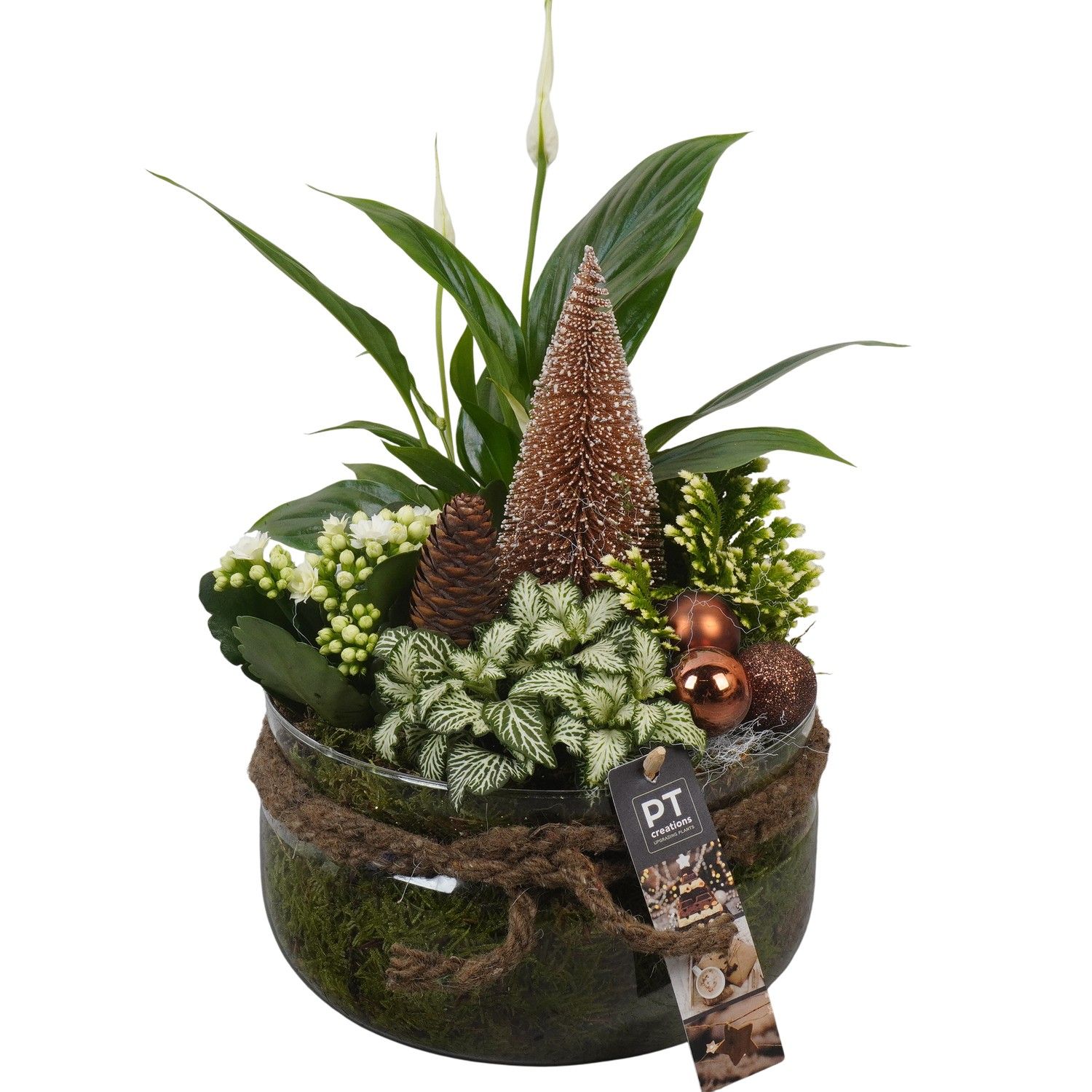 PTCHB9855 Arrangement Christmas Bronze in glas schaal, D 19 cm