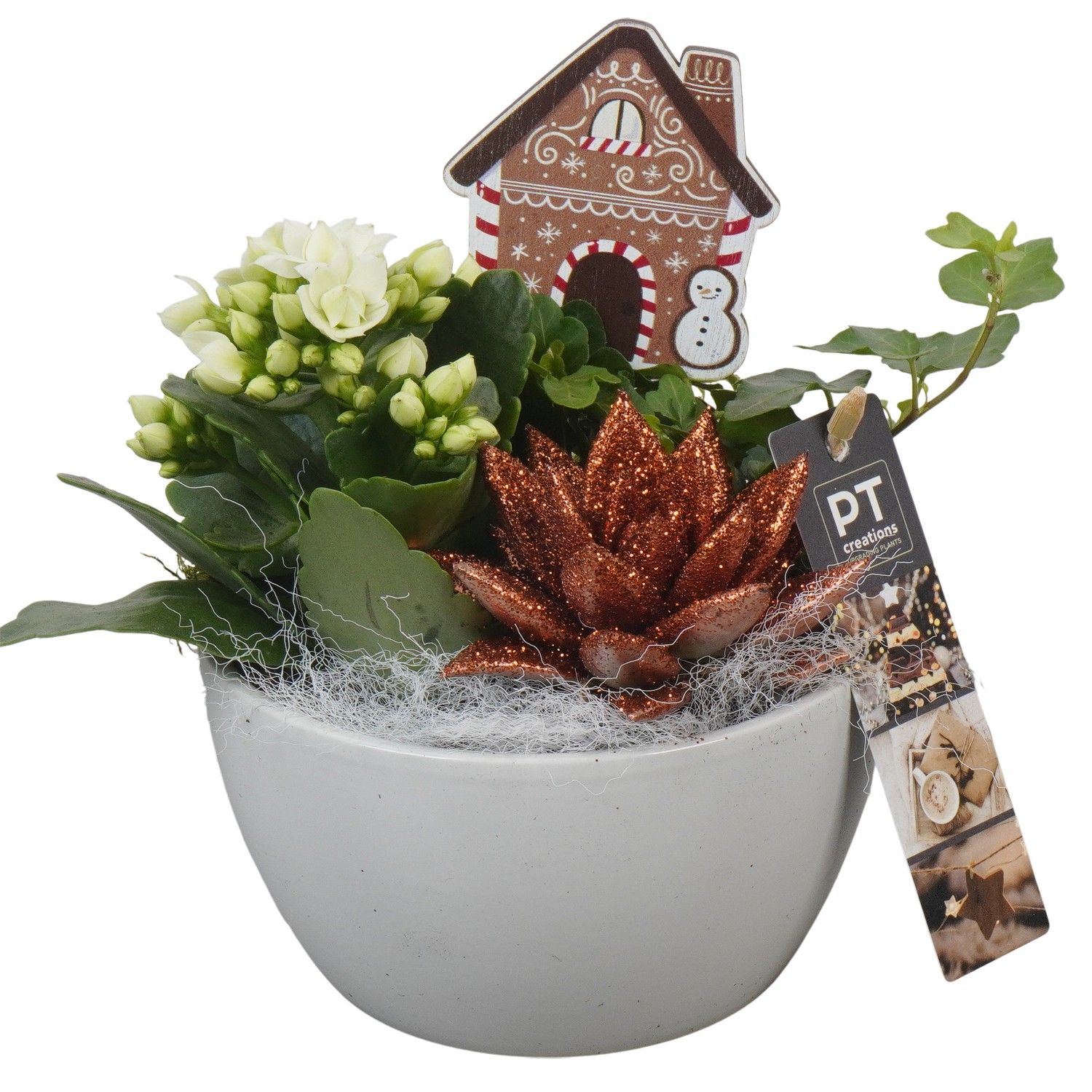 PTCHB9746 Arrangement Christmas Bronze in keramiek schaal, D 14 cm