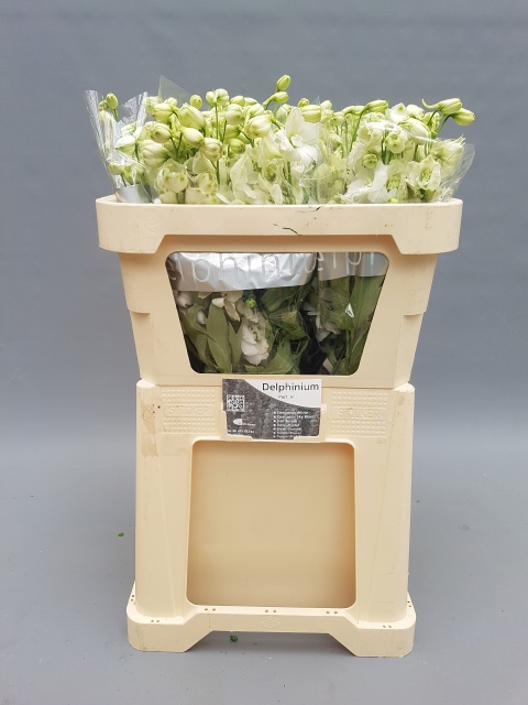 Дельфиниум дв. Центурион Вайт 70, шт.