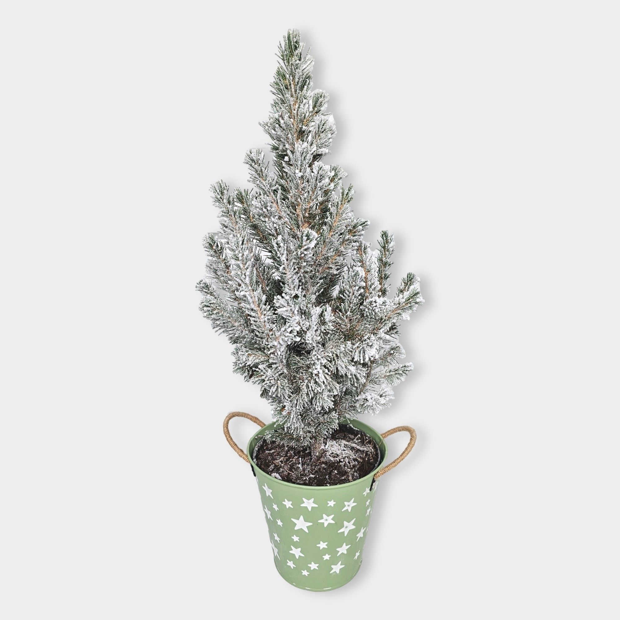 Picea glauca 'Conica' 55cm snowed in zink groen, D 15 cm