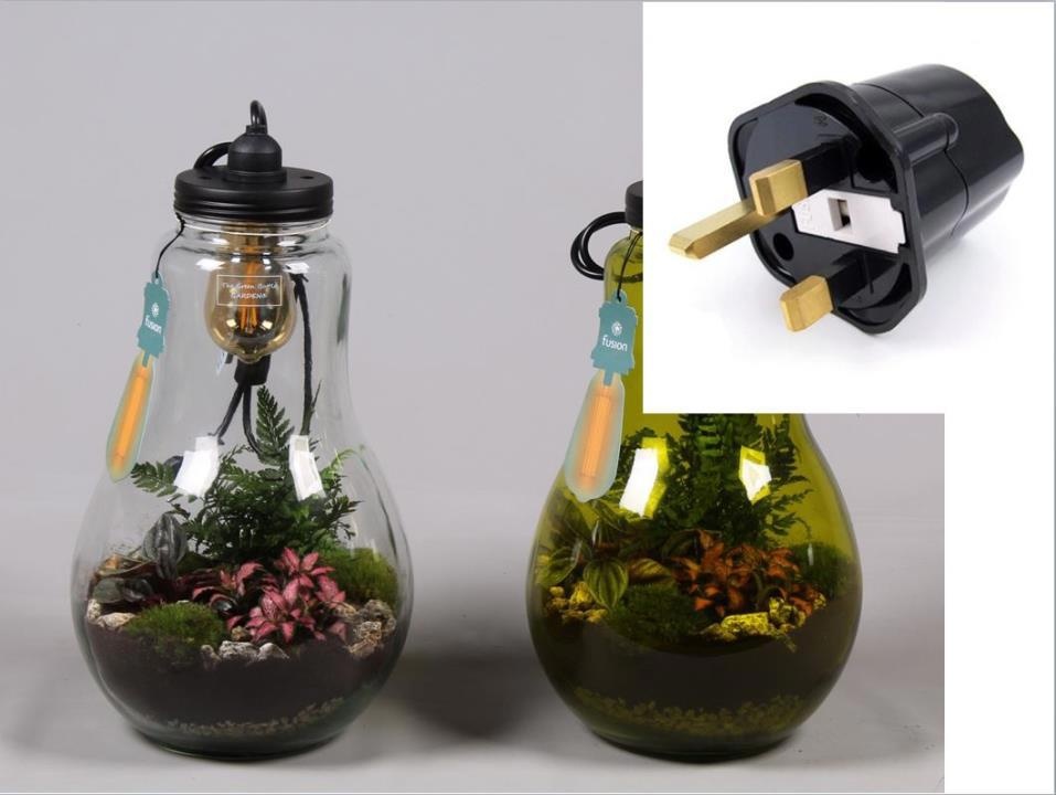 Glas Terrarium XXL helder met verlichting met Groene Planten en Engelse stekker, D 24