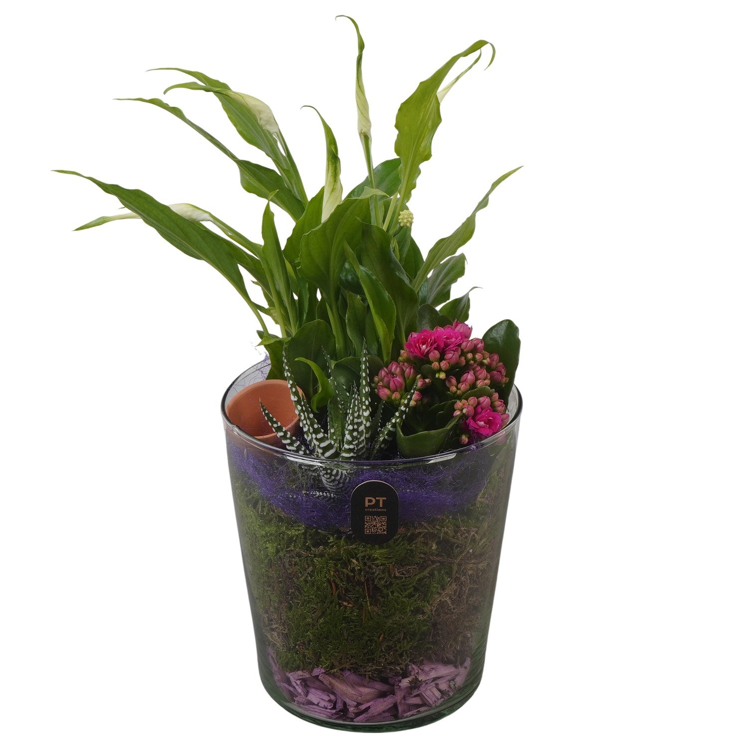 PTIG2635 Arrangement Indoor in glazen vaas, D 13