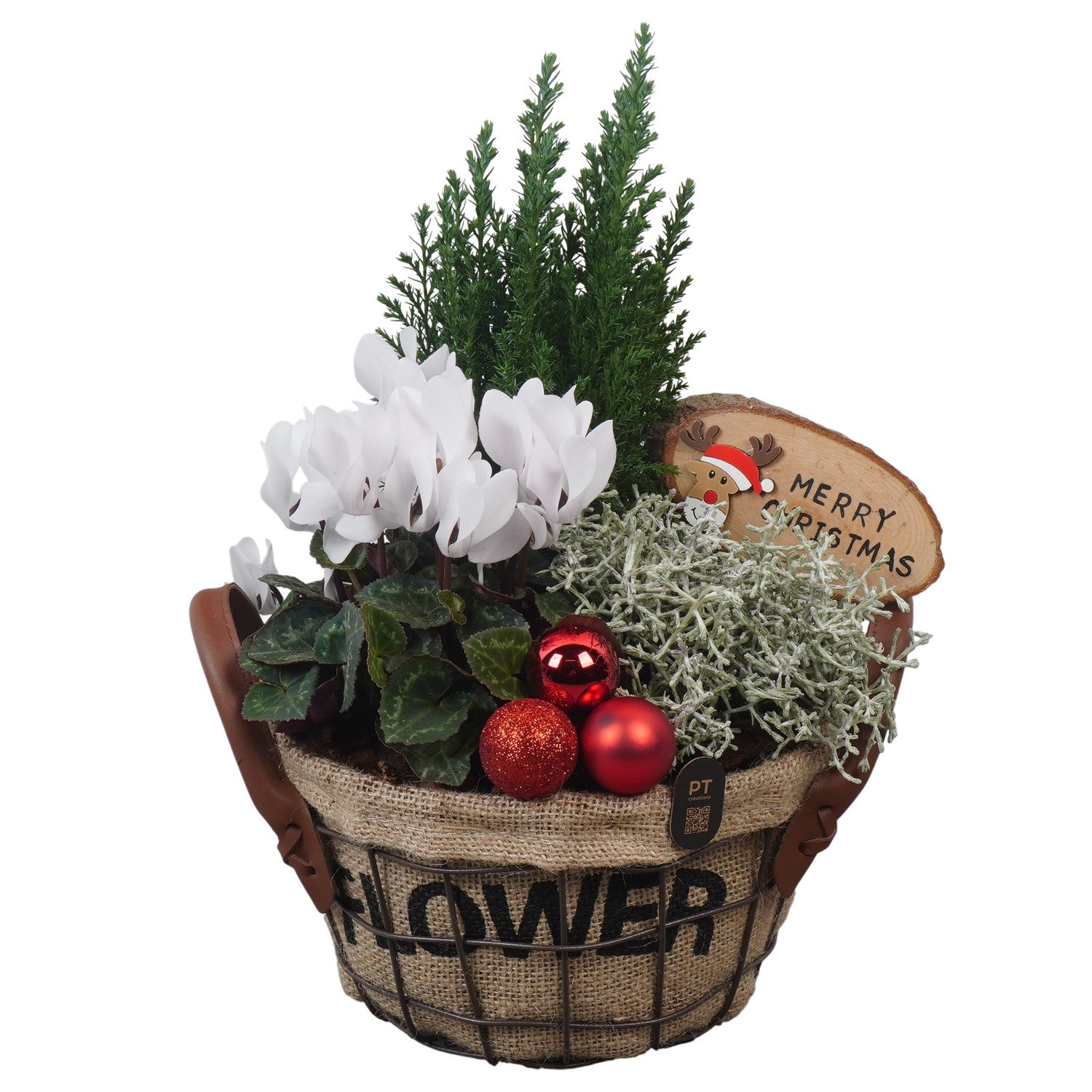 PTCHO5428 Arrangement Christmas Outdoor in jute metalen bak, D 19