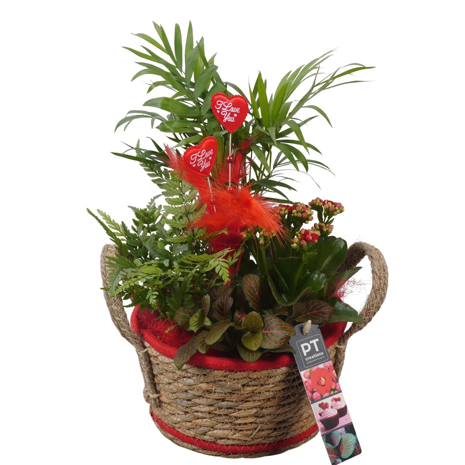 PTVMB2324 Arrangement Valentines-Mothersday in riet mand, D 18