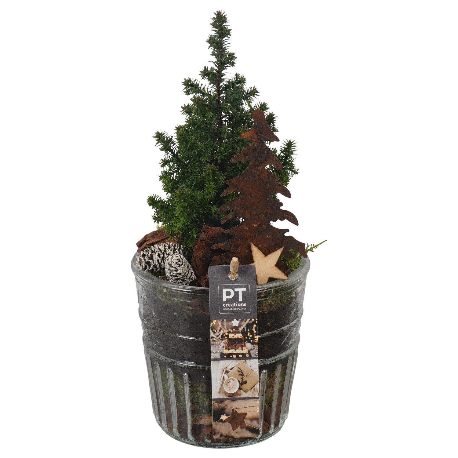 PTCWW6801 Arrangement Winter in glazen vaas, D 12 cm