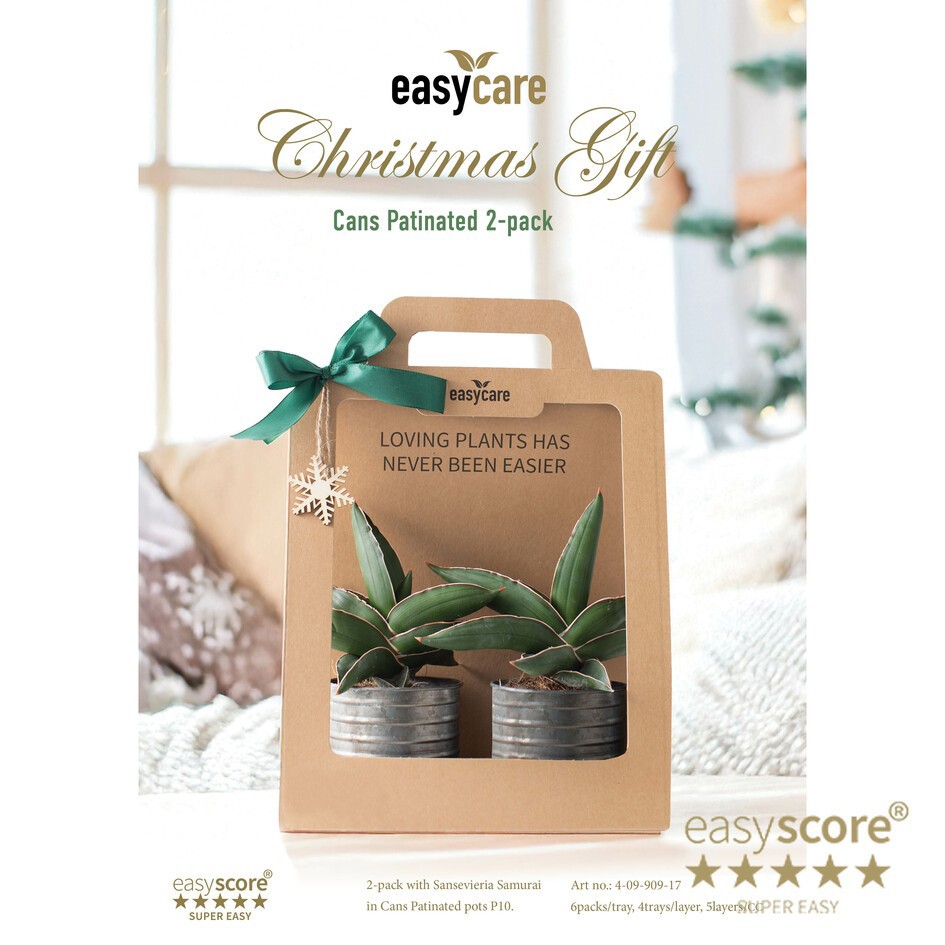 GREEN MIX 40990917 Christmas Cans Patina, D 10 cm