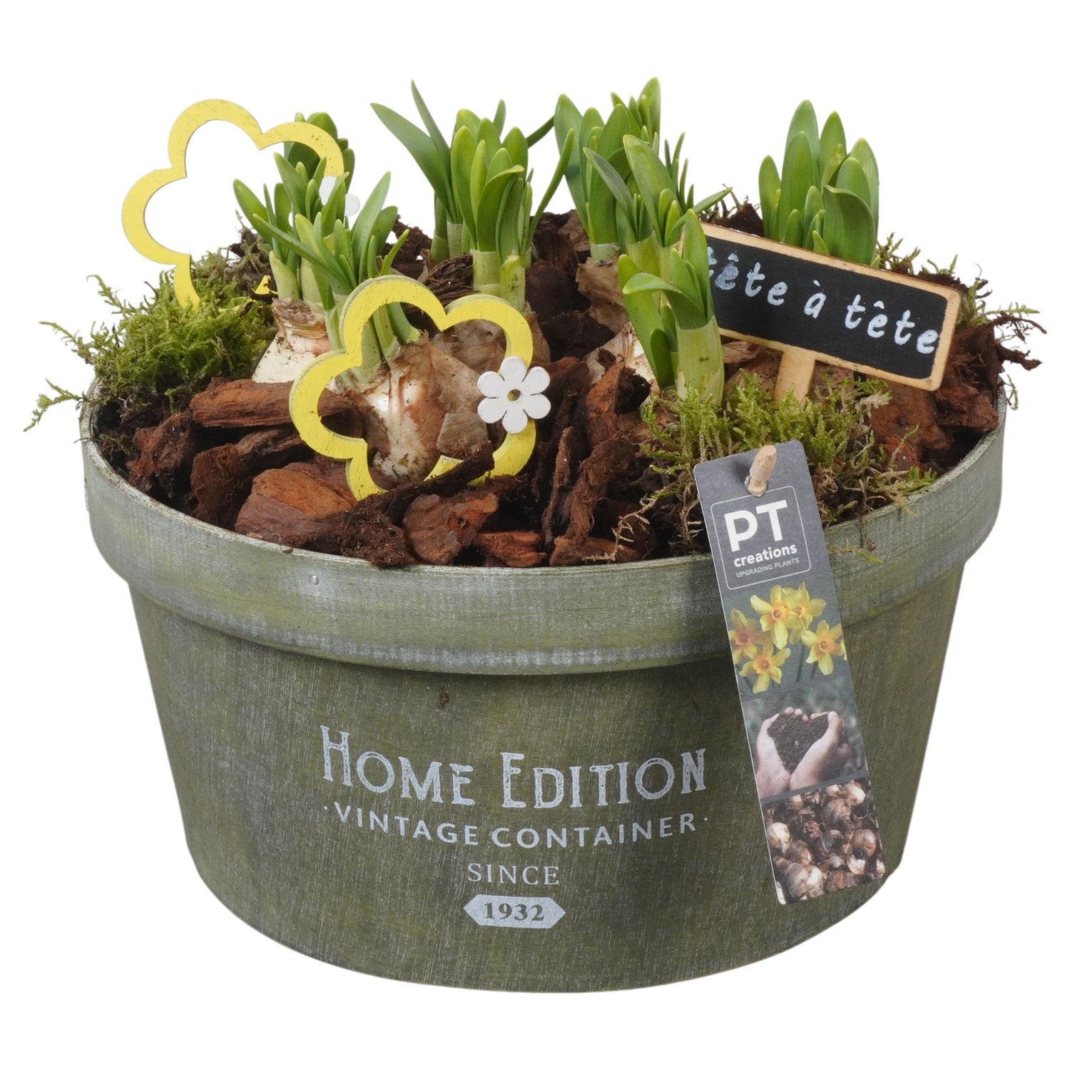 PTN8712 Arrangement Narcissus in houten bak, D 25