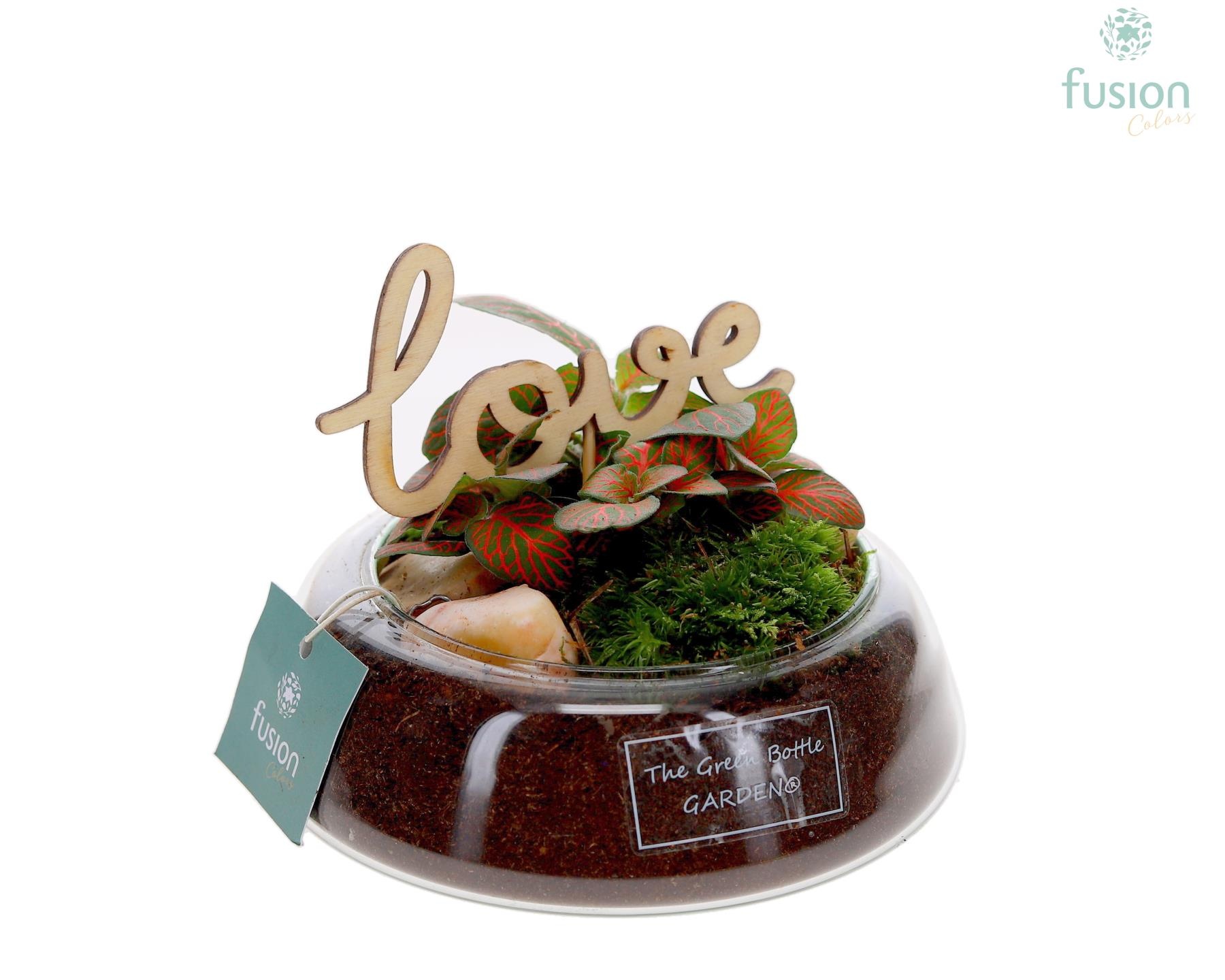 Green Bottle Christel Small Love met Fittonia, D 15