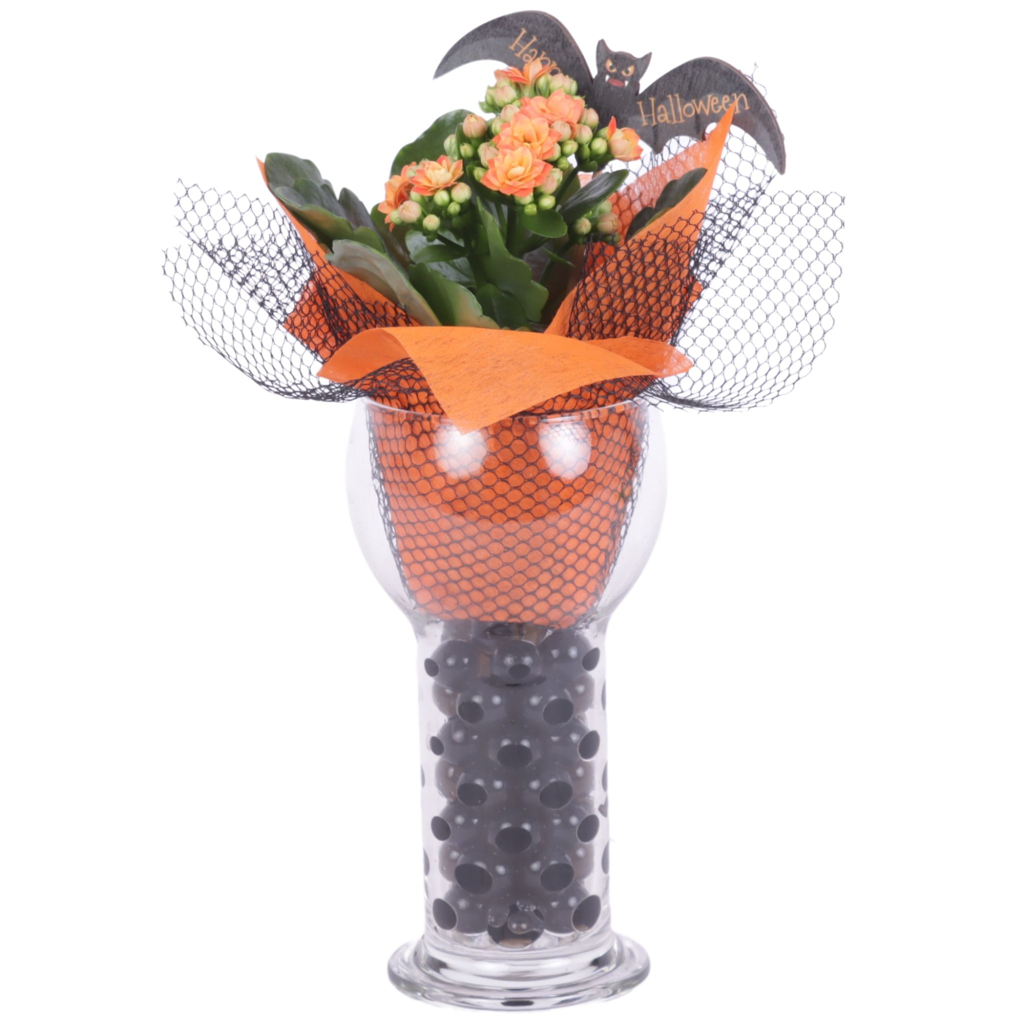 Halloween Arr. Indoor Glass Sphere Cylinder Vase Ø09cm 1PP, D 9 cm Halloween Arr. Indoor Glass Sphere Cylinder Vase Ø09cm 1PP, D 9 cm