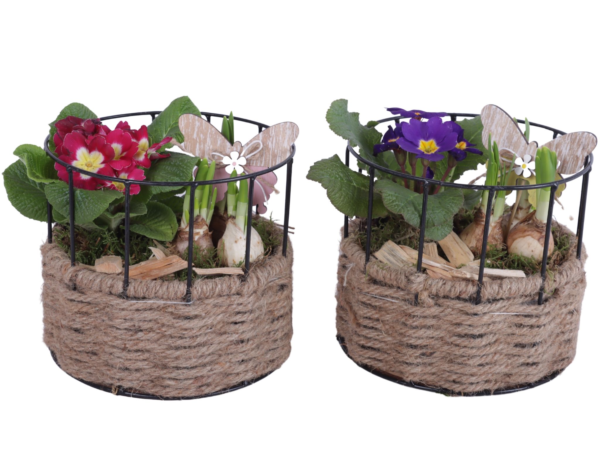 Early Spring Arr. Outdoor Metal Frame Rope Pot Round Ø17cm 2PP, D 17