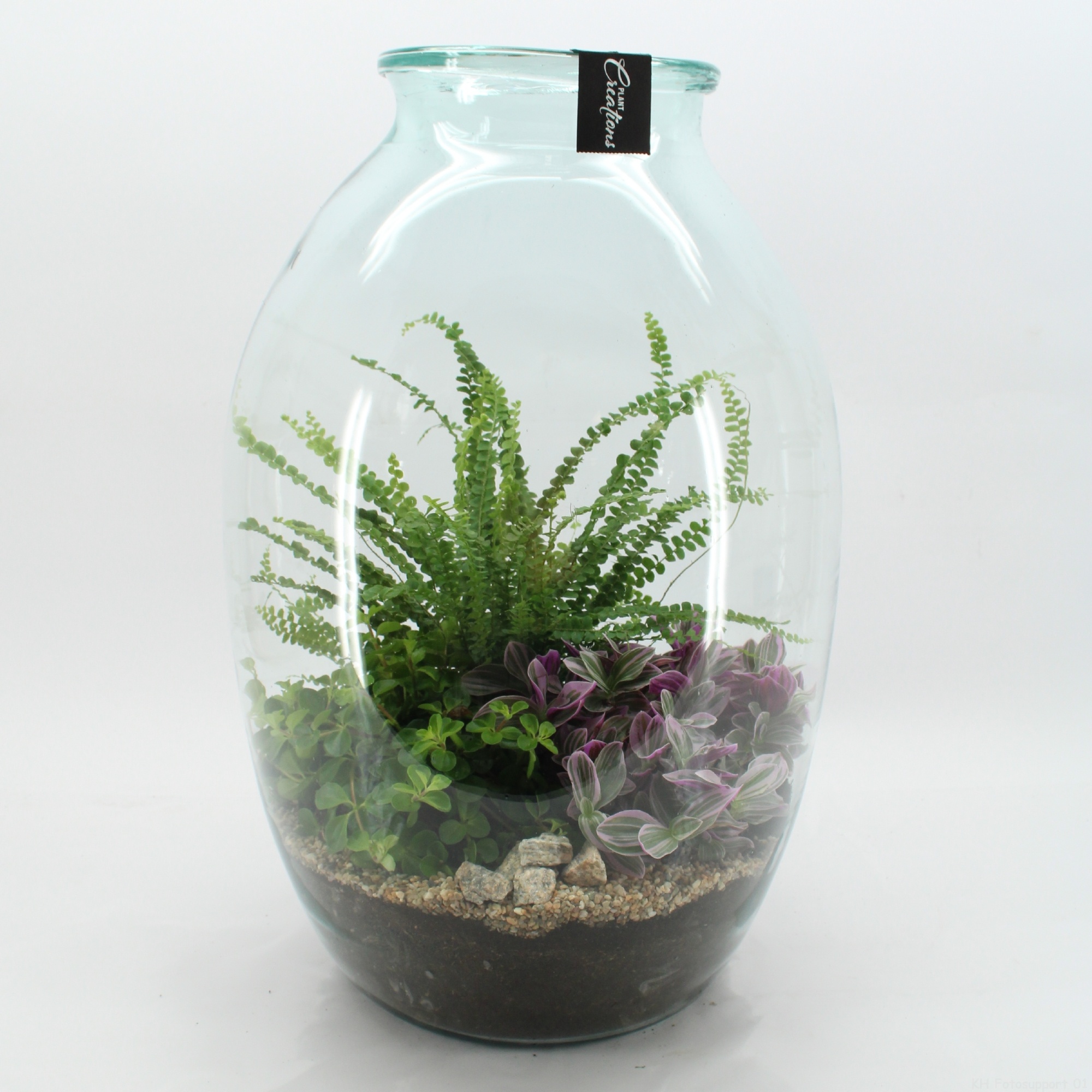 GRCR-2613 Green Essentials terrarium, D 36