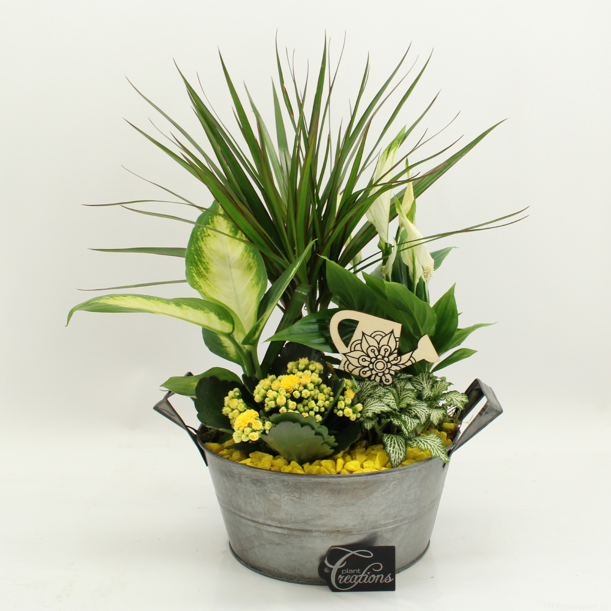 FDCR-2615G Basic Fundamentals, D 23