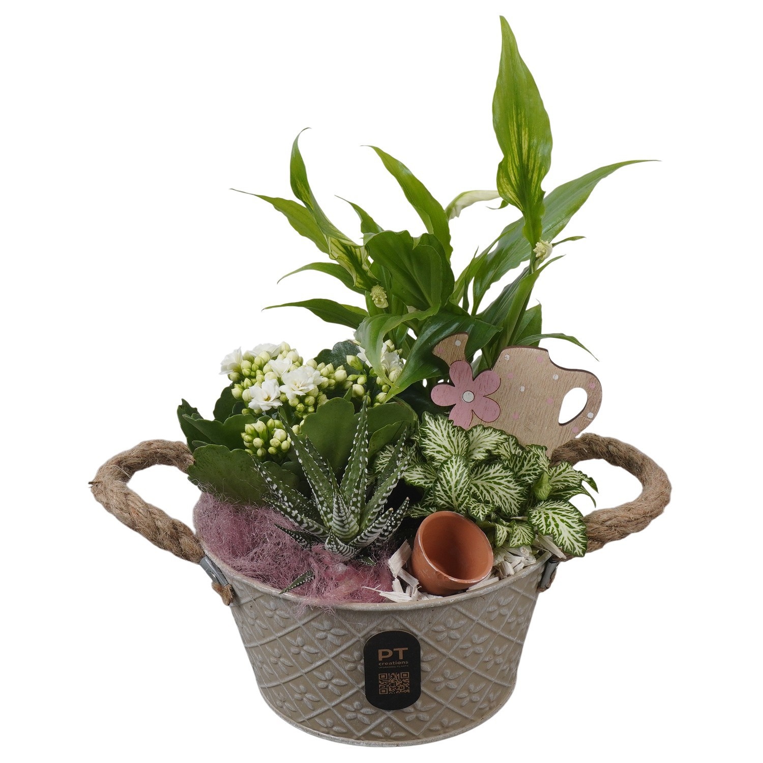 PTIB5328 Arrangement Indoor in metalen pot, D 18
