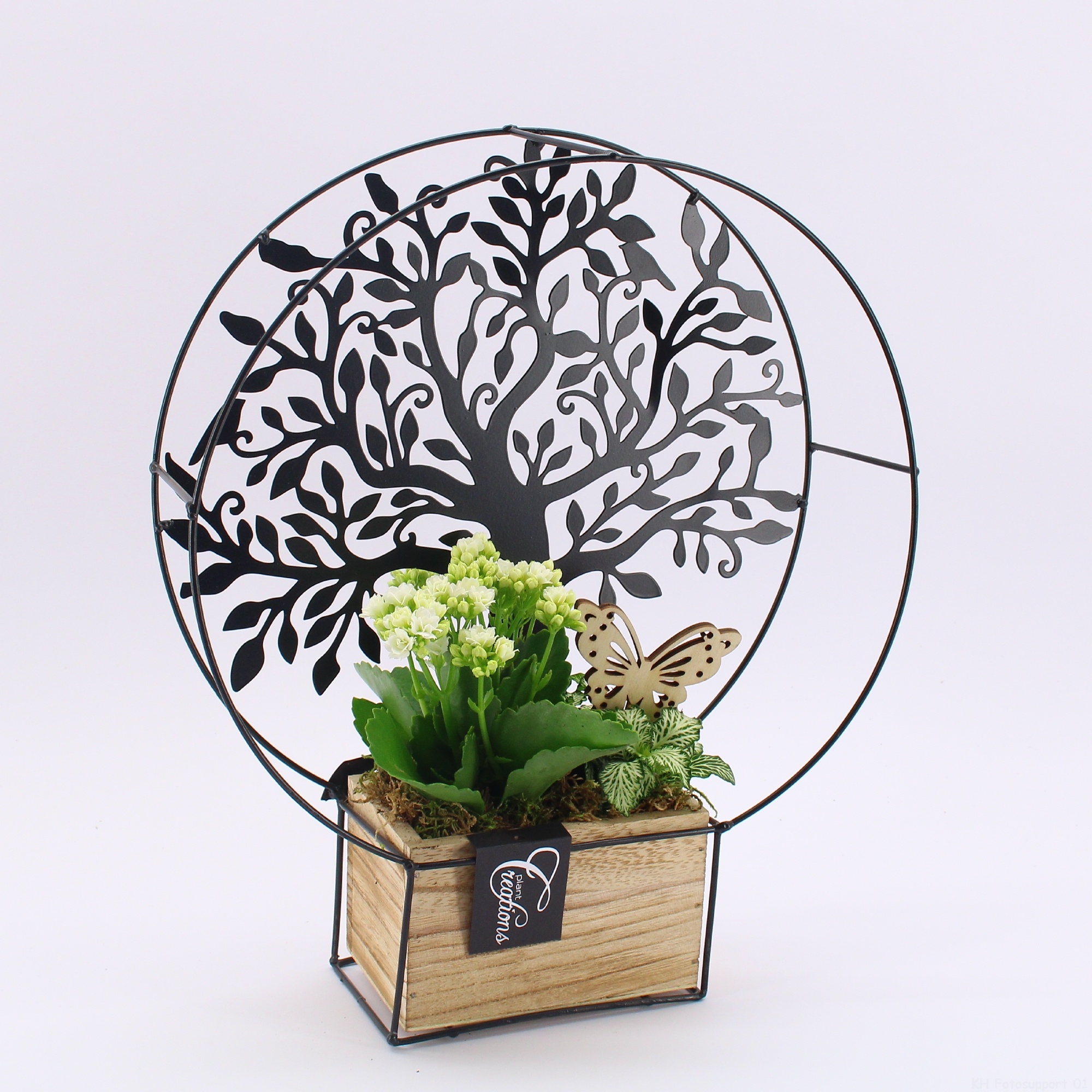 ESCR-2608W Essentials, D 30