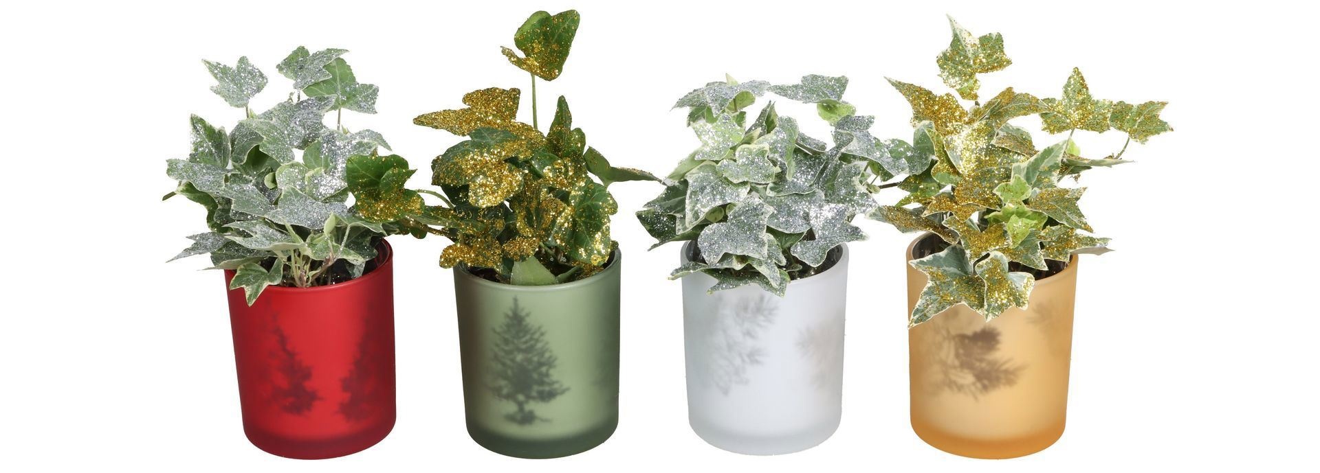 L 67431 With Hedera Helix Mix Glitter 6 cm, D 6 cm