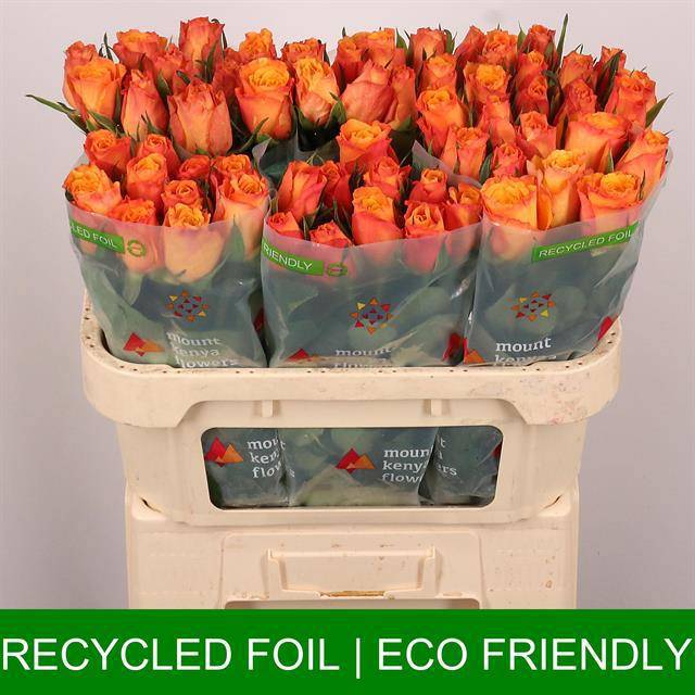 Роза од. Конфиденшиал 70, шт.