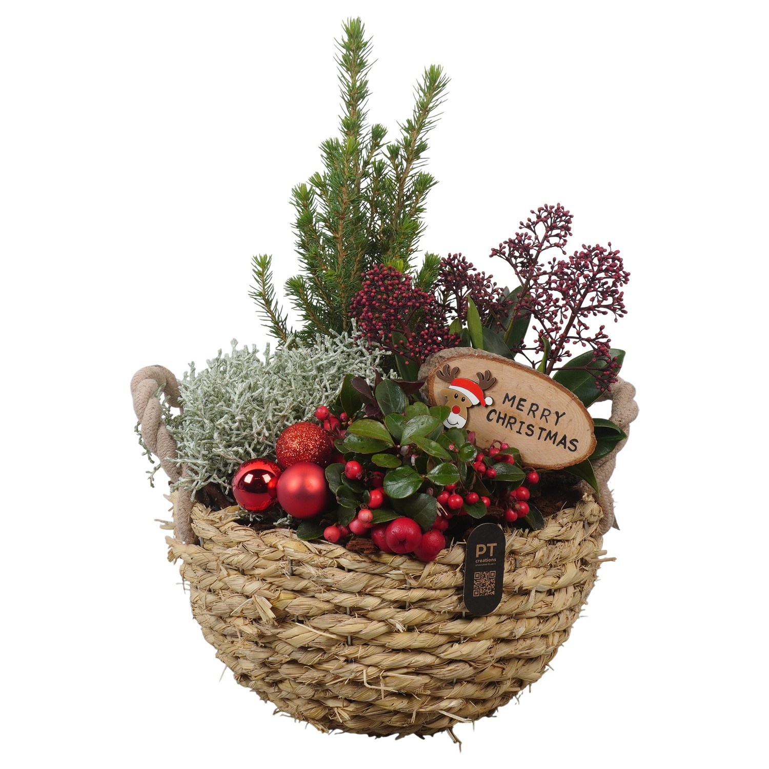 PTCHO5438 Arrangement Christmas Outdoor in rieten mand, D 25