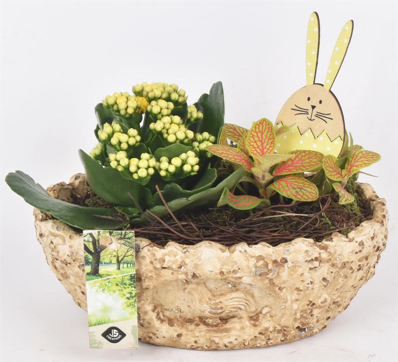 Cement ovaal kip decor 23x13cm, D 23