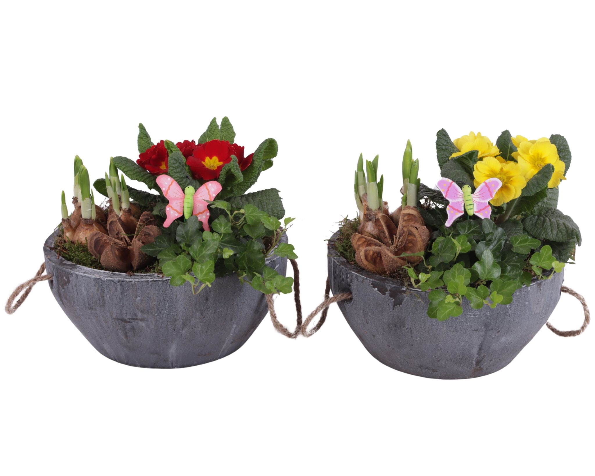 Early Spring Arr. Outdoor Ceramic Pot with Rope Handle Ø24cm 3PP, D 24