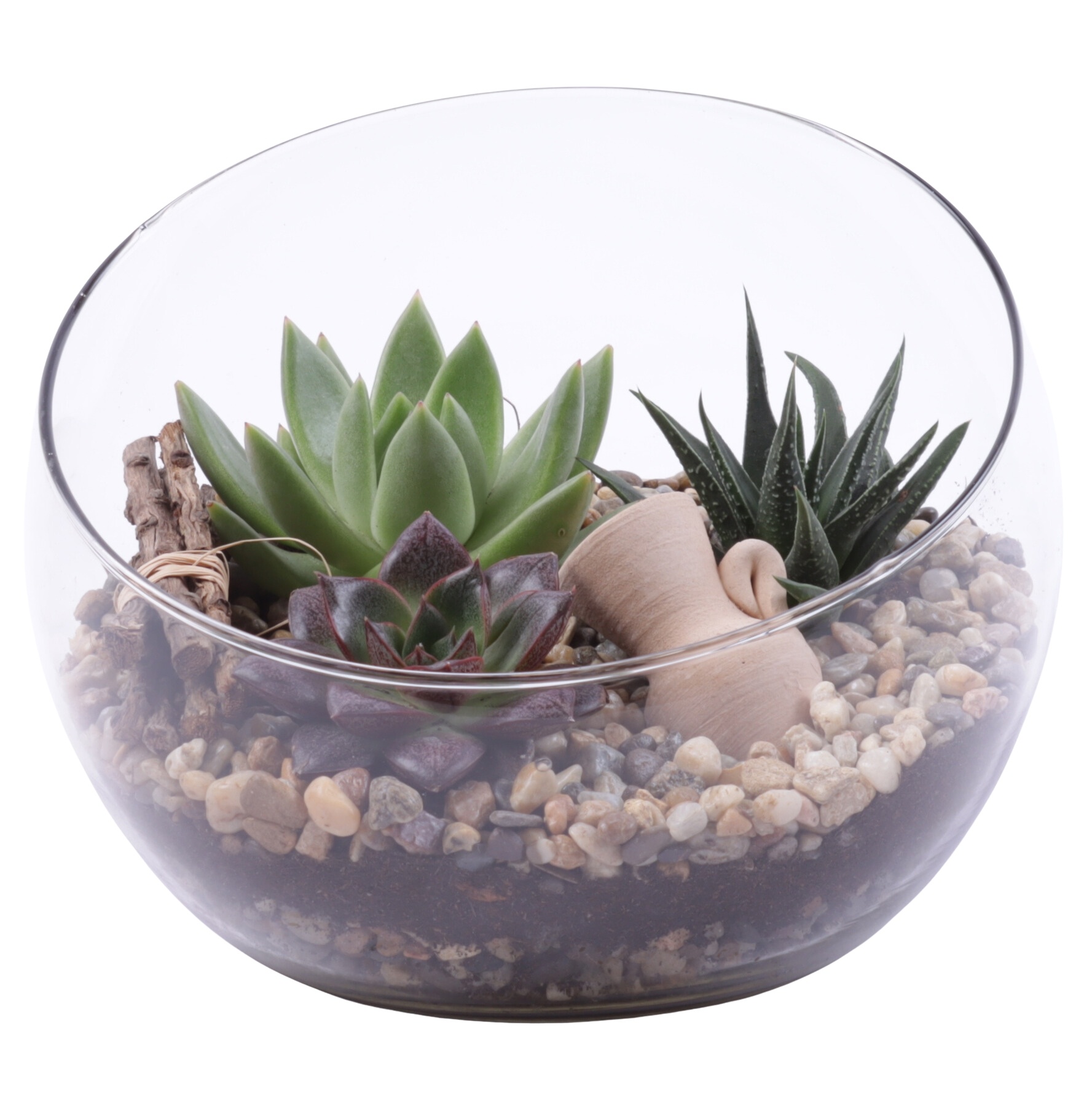 Yearround Arr. Succulent Glass Bowl Vase Ø20cm 3PP, D 20