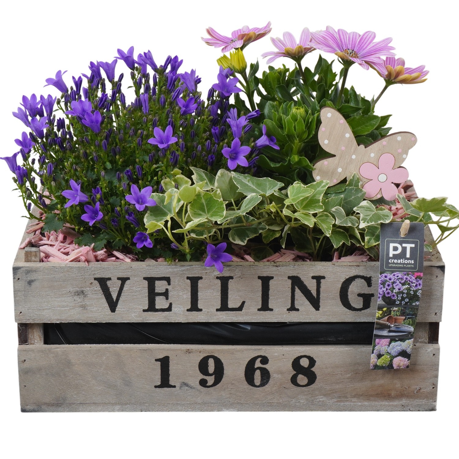 PTPP7007 Arrangement Patio in houten bak, D 30