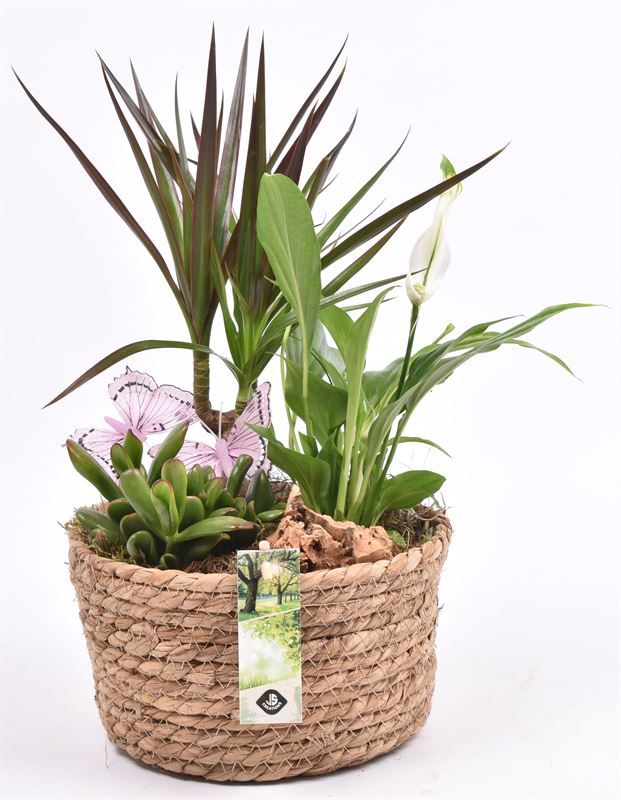 Touwmand laag 19,5cm, D 19