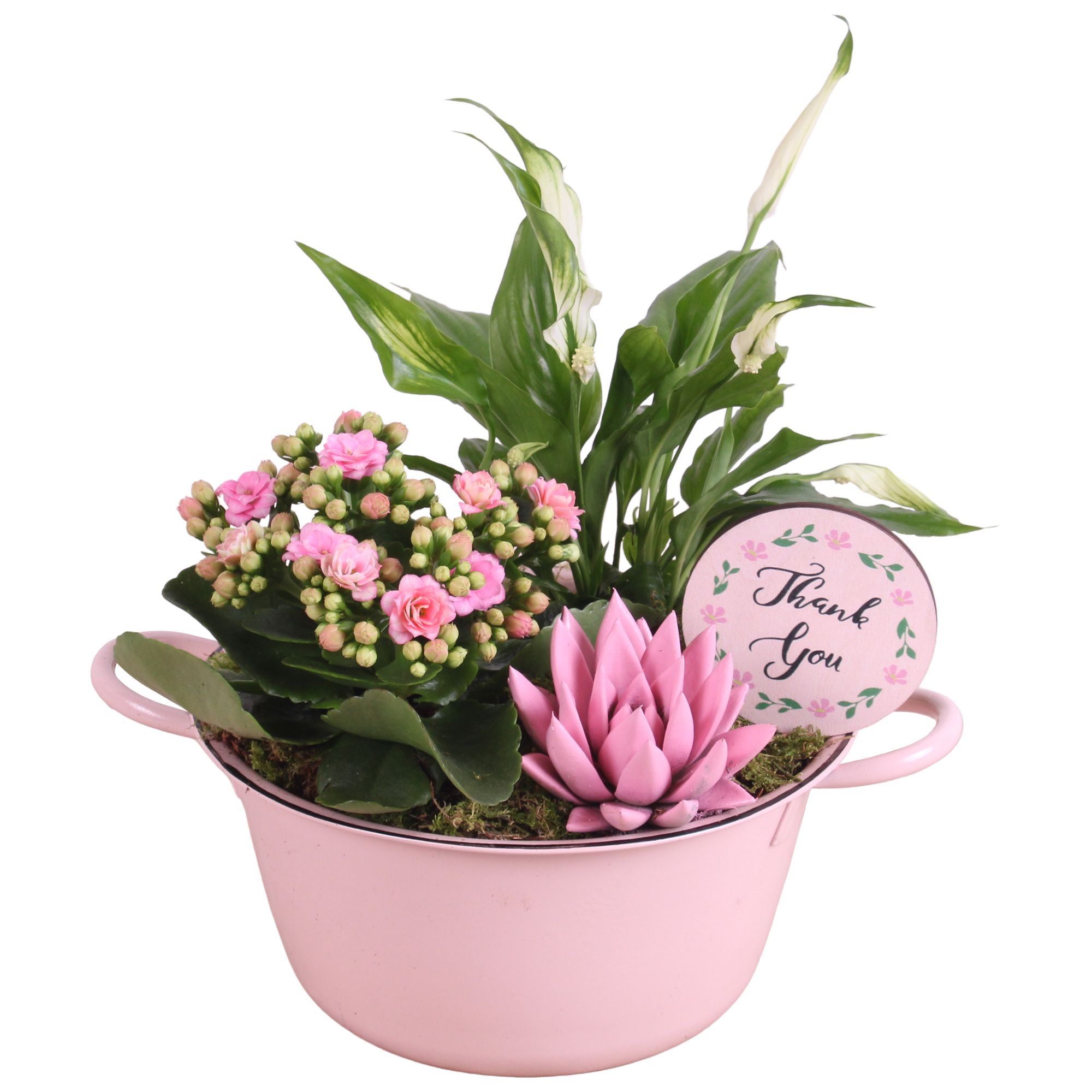 Mothersday Arr. Indoor Zinc Bowl With Handles Pink Ø22cm 3PP, D 22