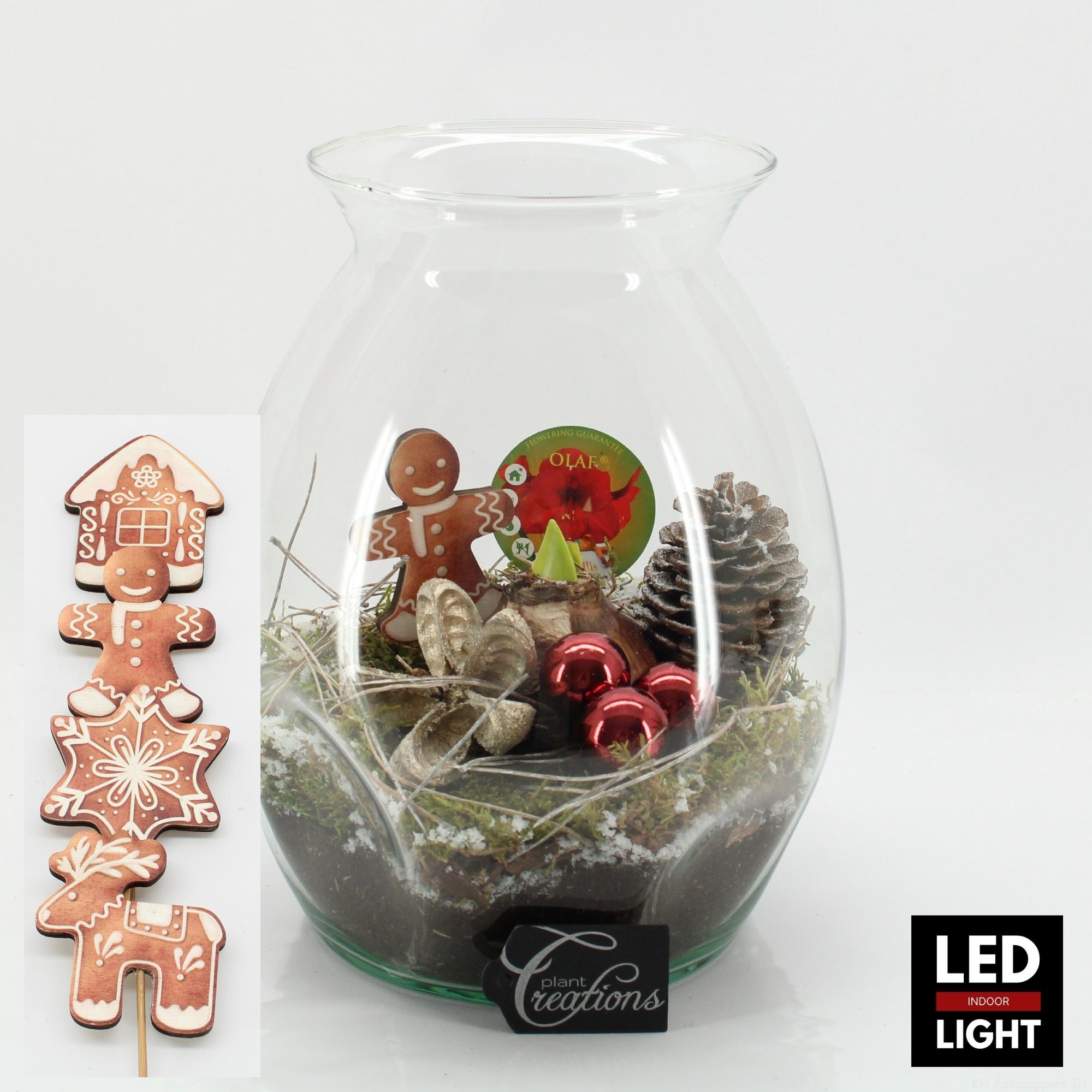 HICR-2509RLED Kerst Amaryllis terrarium, D 22 cm