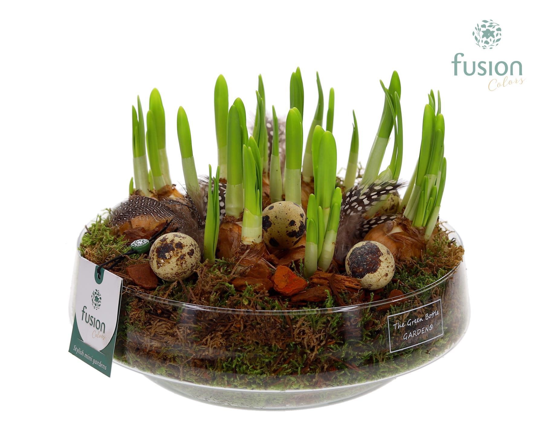 Green Bottle Iris Large met Pasen arrangement, D 24