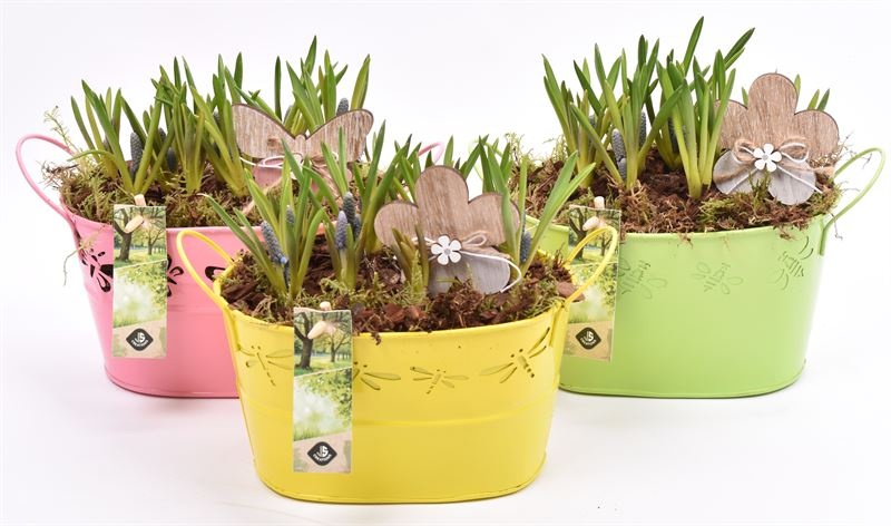 Zink ovaal vlinder 22x13, D 22