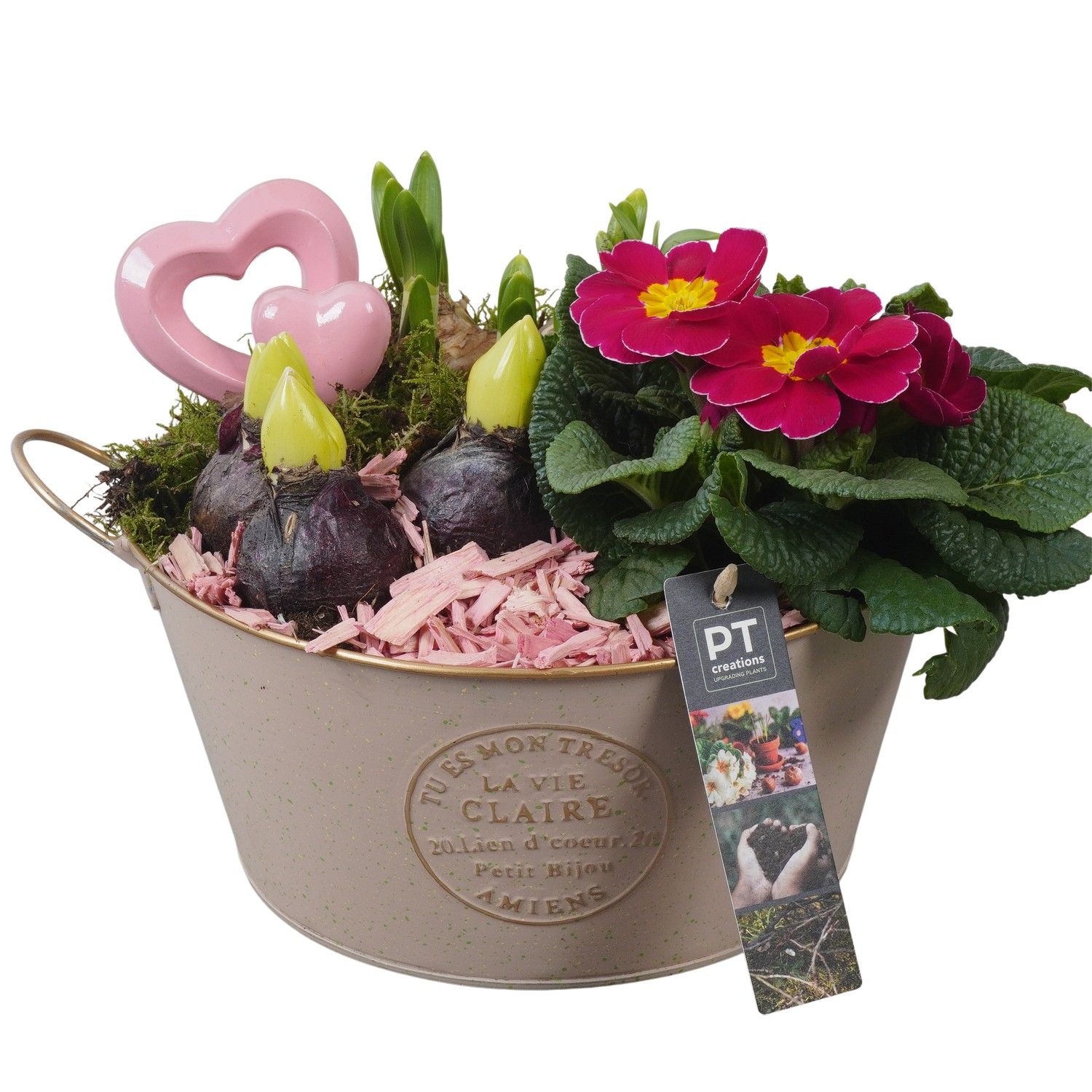 PTVO3612 Arrangement Valentine Outdoor in metalen schaal, D 23