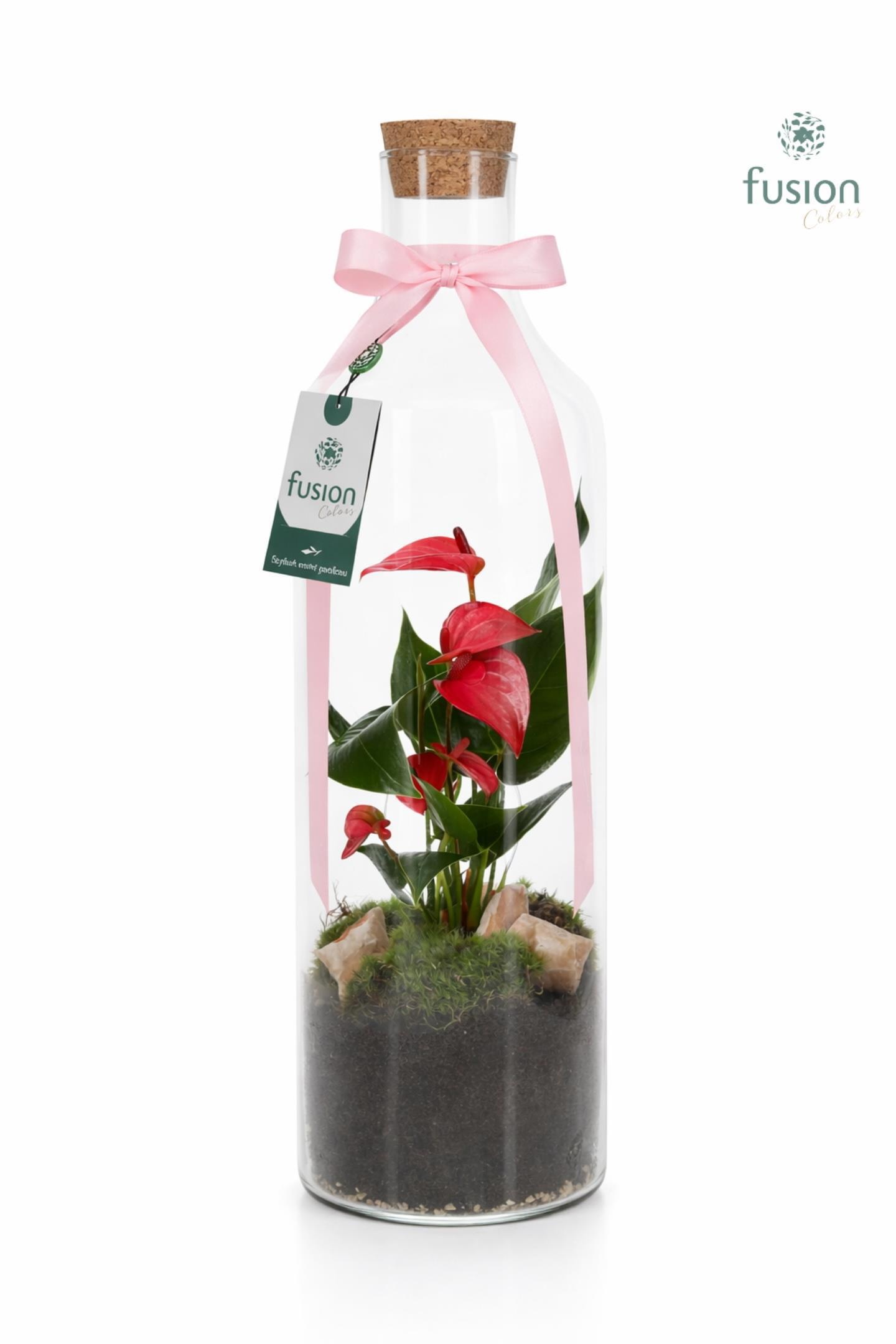 Green Bottle Fles Large met Anthurium, D 15