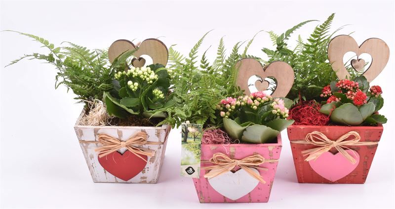 Hout vierkant hart decor mix 15x15, D 15