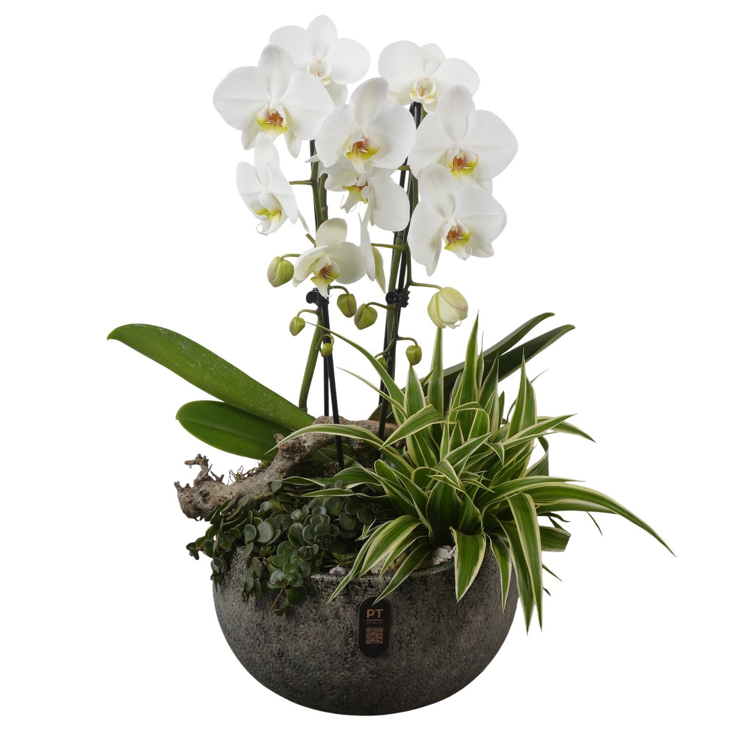 PTIB5351 Arrangement Indoor in keramiek schaal, D 26